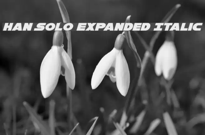 Han Solo Expanded Italic Font examples