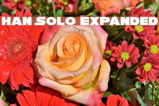 Han Solo Expanded Example 3