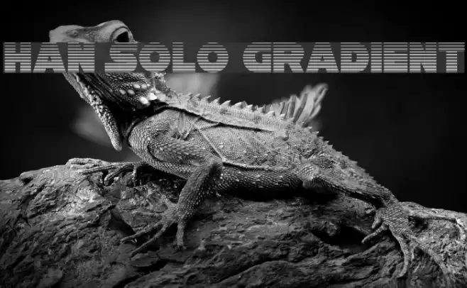 Han Solo Gradient Font examples