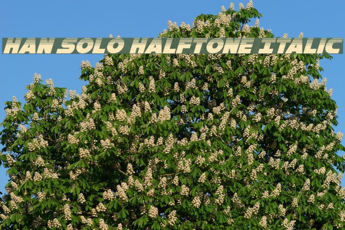Han Solo Halftone Italic Font examples