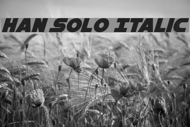 Han Solo Italic Font examples