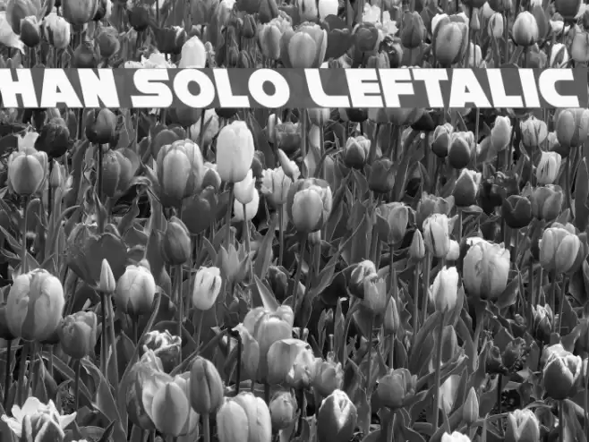 Han Solo Leftalic Font examples