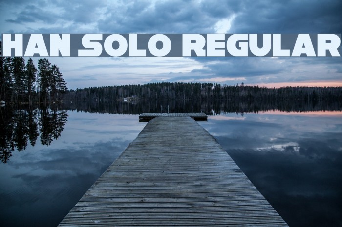 Han Solo Regular Example 3