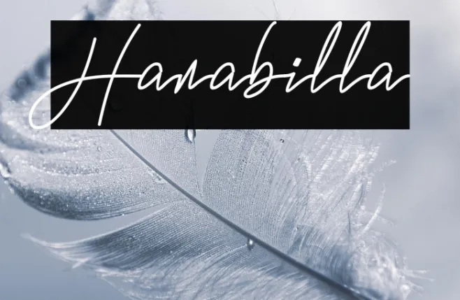 Hanabilla Example 2