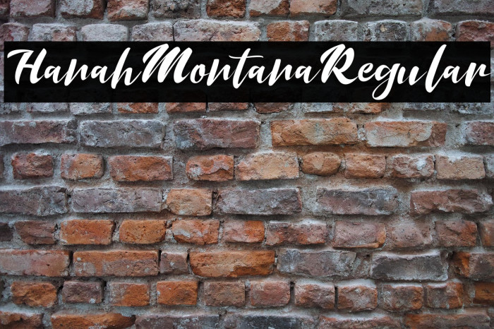 HanahMontanaRegular Example 1