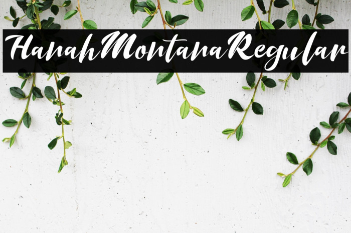 HanahMontanaRegular Example 2