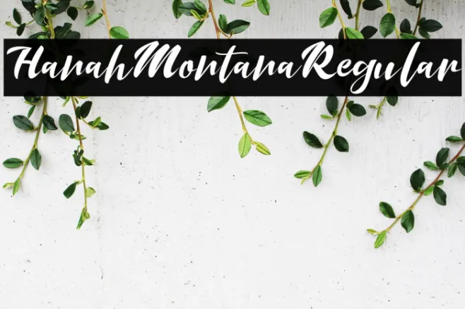 HanahMontanaRegular Example 2