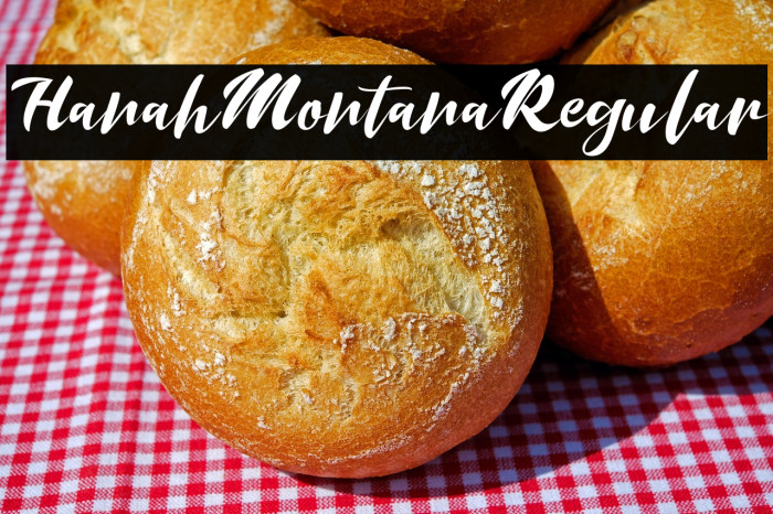 HanahMontanaRegular Example 3