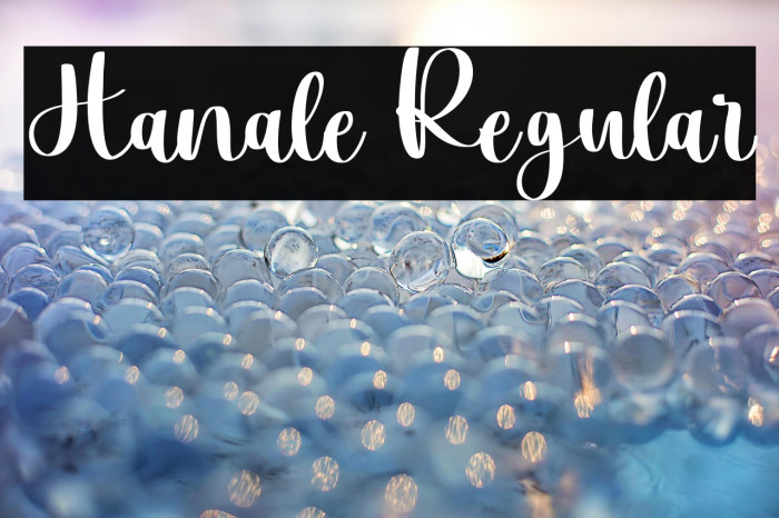 Hanale Regular Example 1