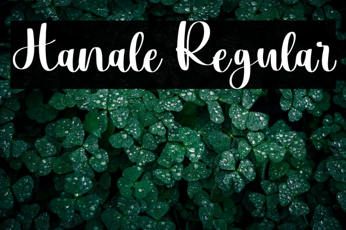 Hanale Regular Example 3