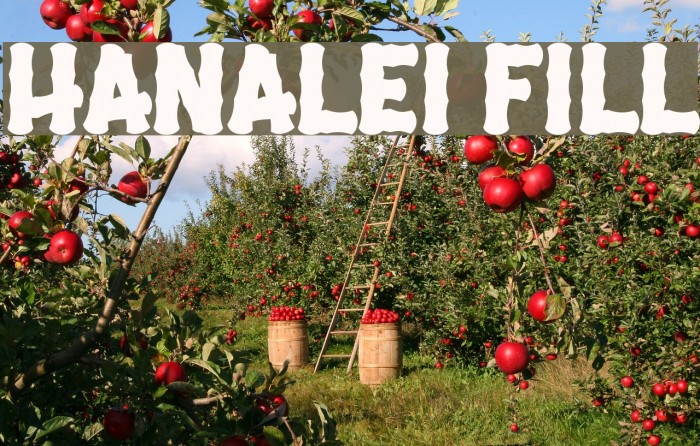 Hanalei Fill Font examples