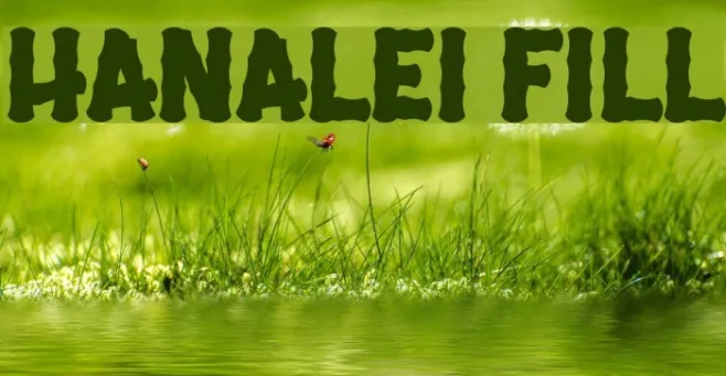 Hanalei Fill Example 3