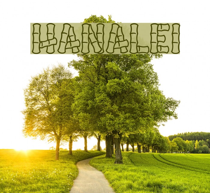 Hanalei Font examples