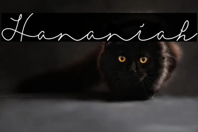 Hananiah Example 2