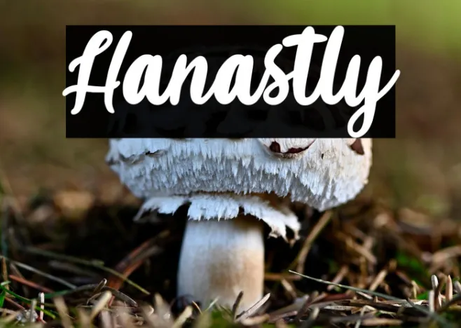 Hanastly Example 1