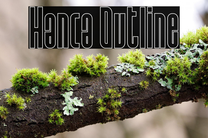 Hanca Outline Example 2