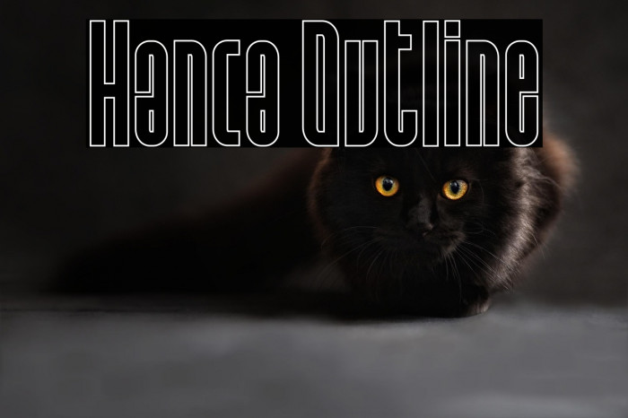 Hanca Outline Example 3