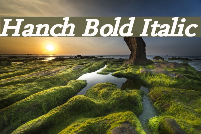 Hanch Bold Italic Font examples