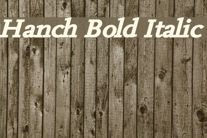 Hanch Bold Italic Font examples