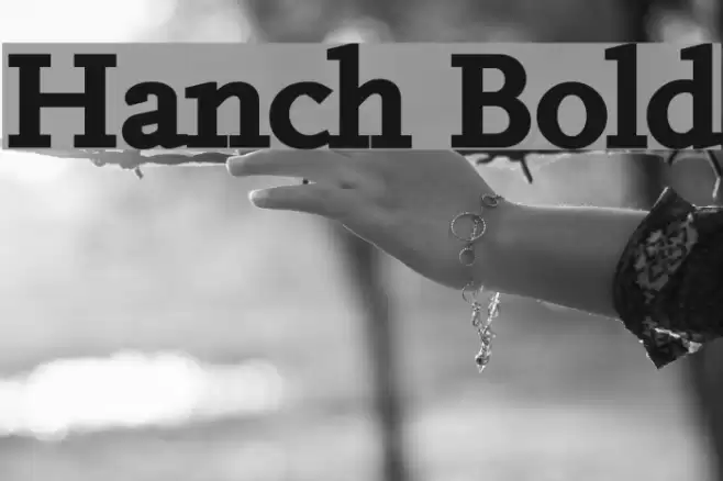 Hanch Bold Font examples