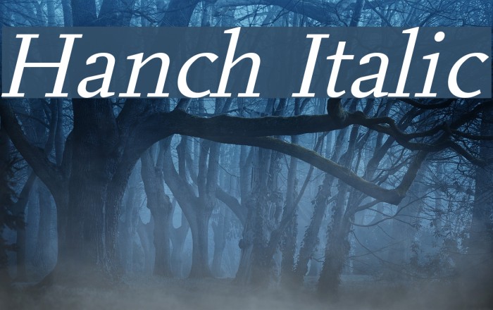 Hanch Italic Font examples
