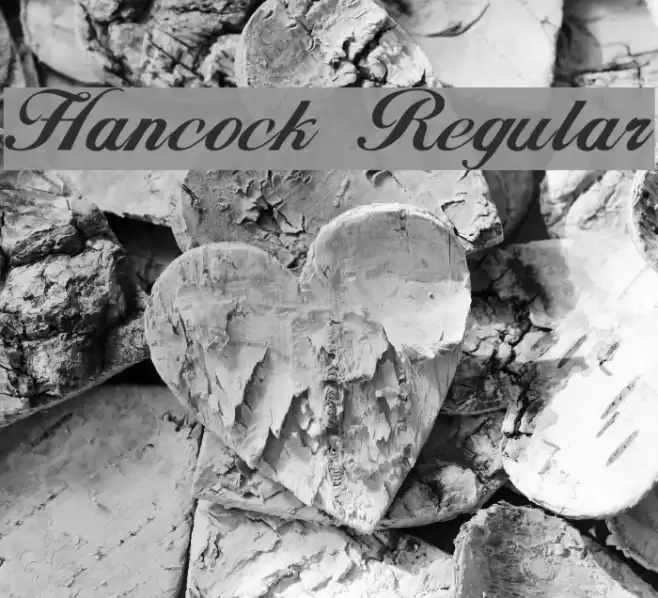 Hancock Regular Font examples