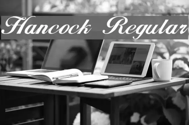 Hancock Regular Font examples