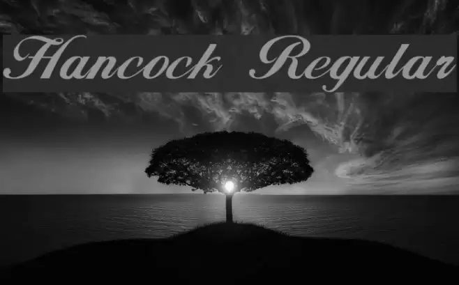 Hancock Regular Font examples