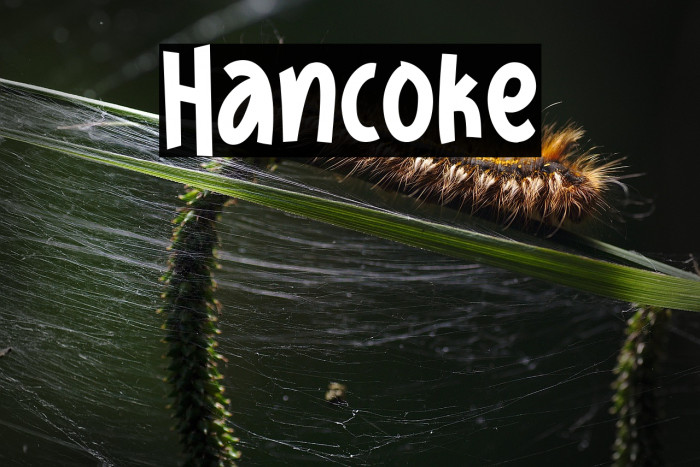 Hancoke Example 1