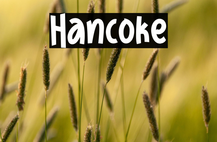 Hancoke Example 2