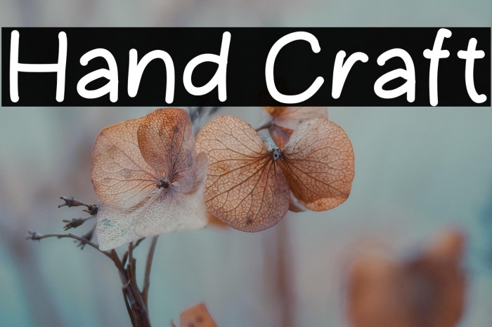 Hand Craft Example 2