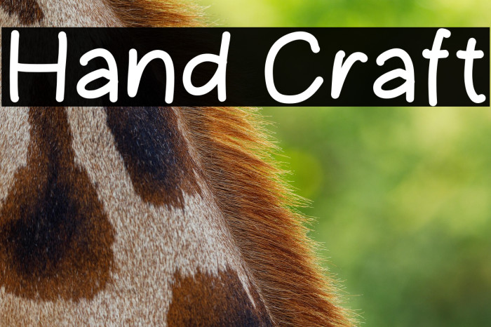 Hand Craft Example 3