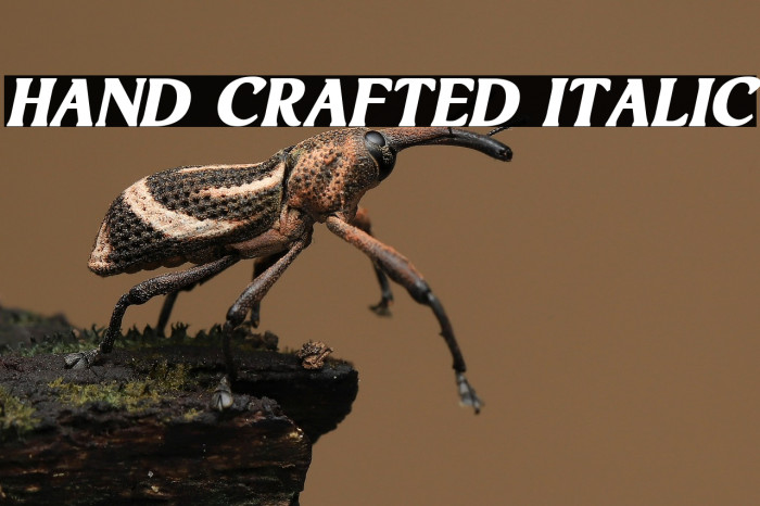 Hand Crafted Italic Example 2