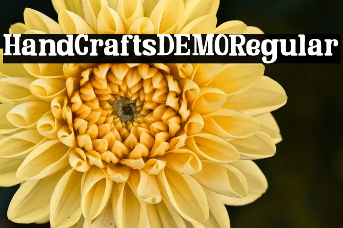 Hand Crafts DEMO Regular Example 1