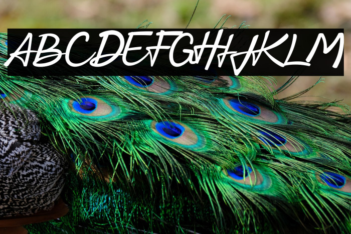 Hand Creation Personal Use Example 1