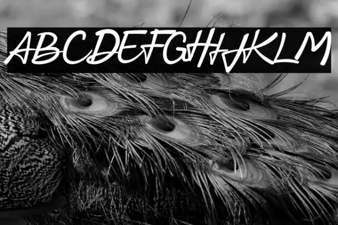 Hand Creation Personal Use Font examples