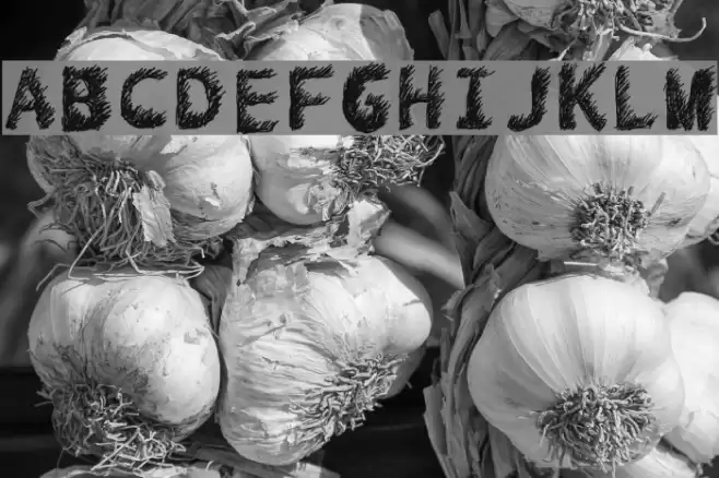 Hand Drawn Lawn Font examples