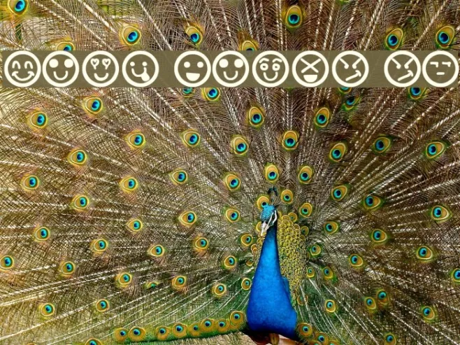 Hand Faces St Example 3