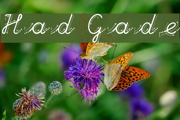 Hand Garden Font examples