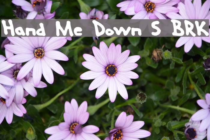 Hand Me Down S BRK Font examples