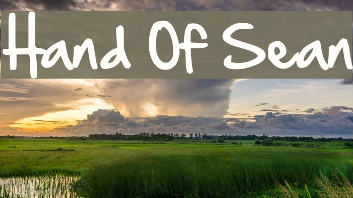 Hand Of Sean Example 3