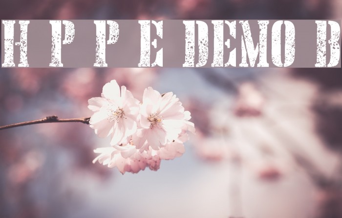 Hand Printing Press Eroded DEMO Bold Font examples