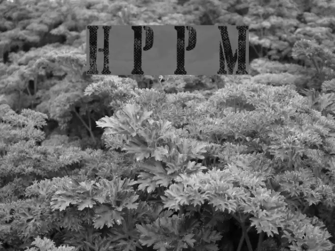 Hand Printing Press Meshed_demo Polices examples