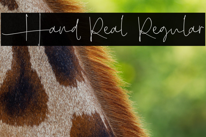 Hand Real Regular Example 1