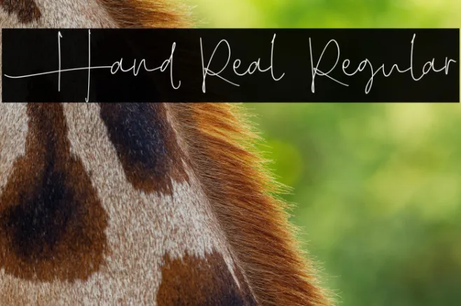 Hand Real Regular Example 1