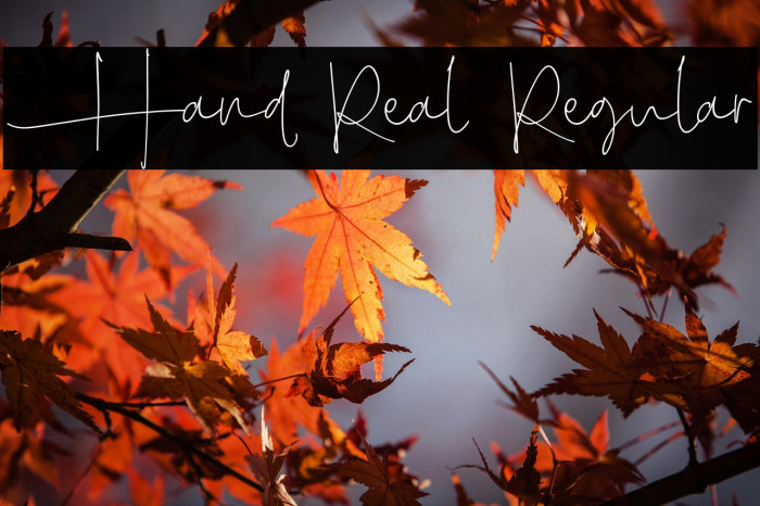 Hand Real Regular Example 2