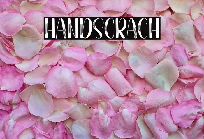 Hand Scratch Example 1