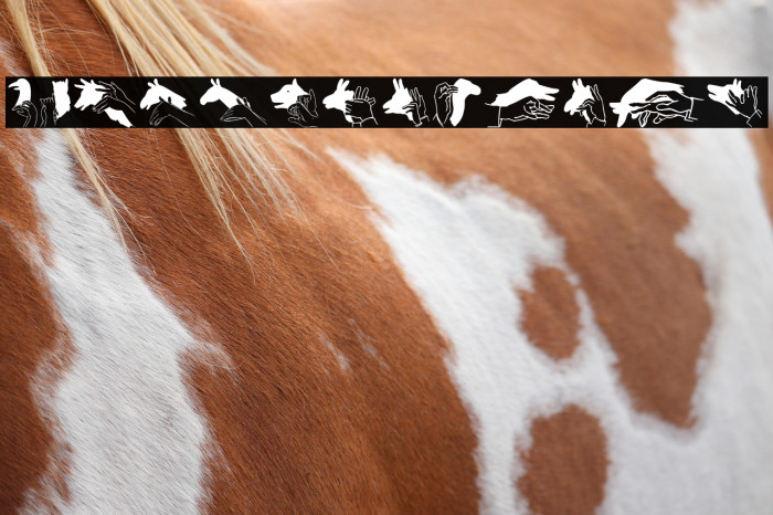 Hand Shadows Icons Example 2