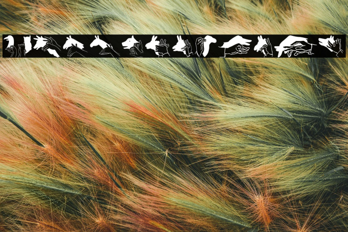 Hand Shadows Icons Example 3