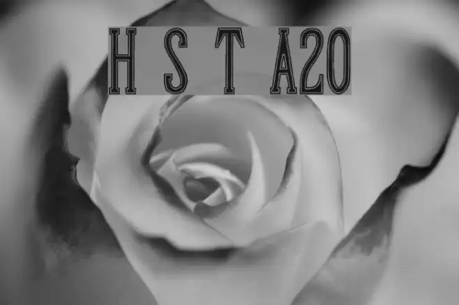 Hand Shop Typography A20_demo Font examples